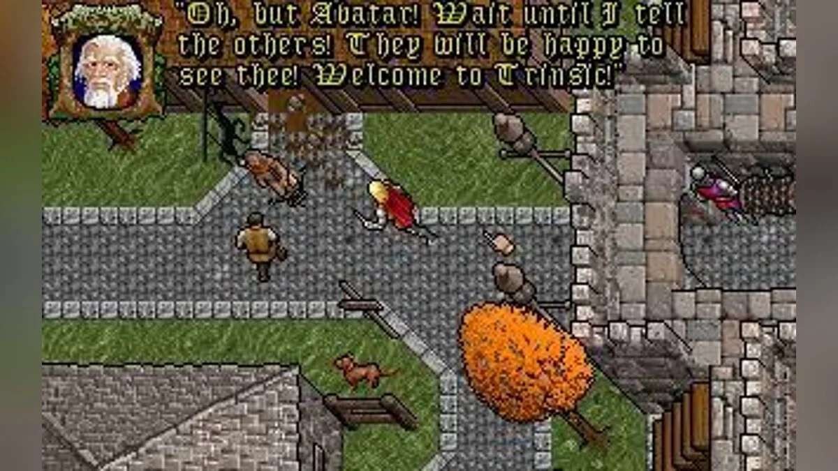 Скриншоты из Ultima 7: The Black Gate / Картинка 4