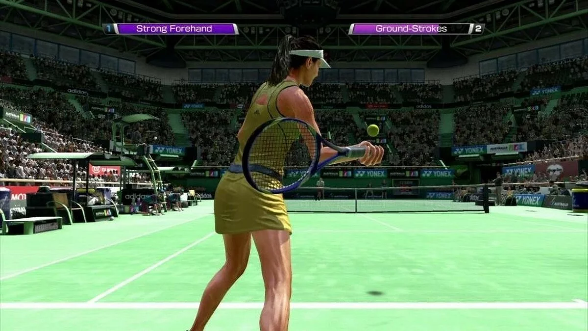 Скриншоты из Virtua Tennis 4 / Картинка 83