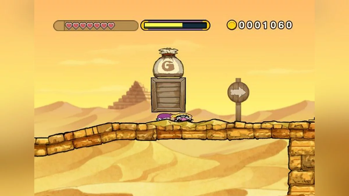 Скриншоты из Wario Land: Shake It! / Картинка 2