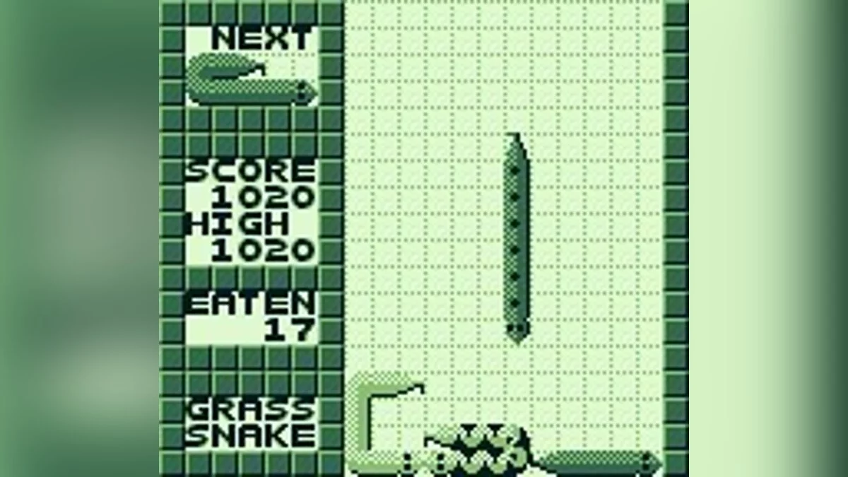 Скриншоты из WildSnake / Картинка 21