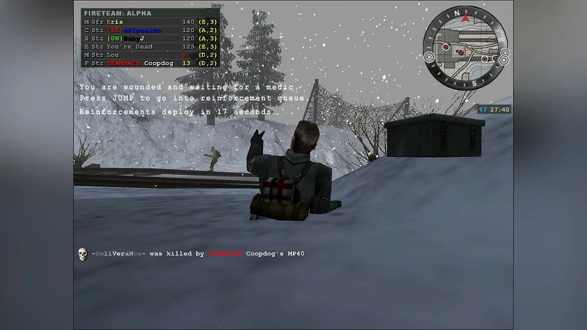 Скриншоты из Wolfenstein: Enemy Territory / Картинка 48