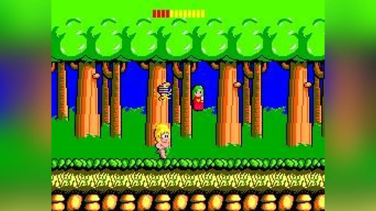 Скриншоты из Wonder Boy / Картинка 11