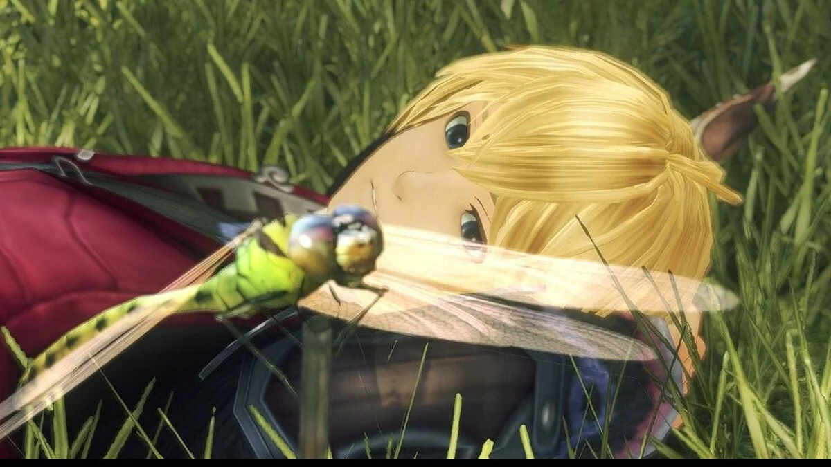 Скриншоты из Xenoblade Chronicles / Картинка 104