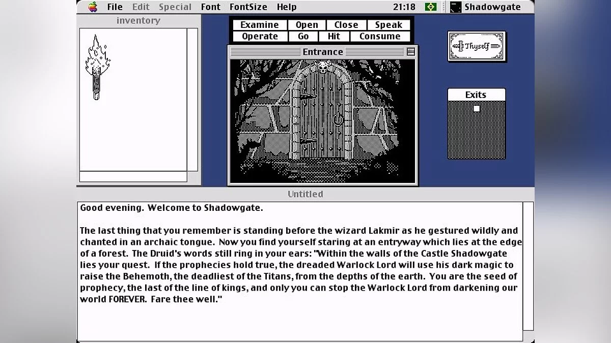 Скриншоты из Shadowgate / Картинка 41