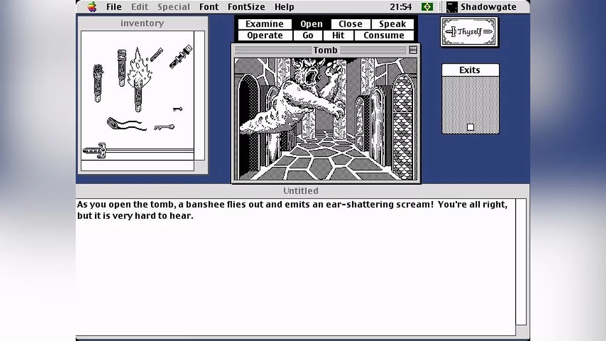 Скриншоты из Shadowgate / Картинка 45