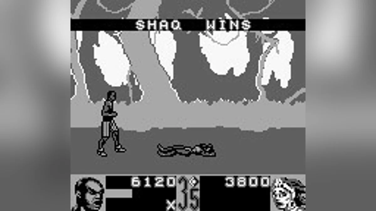 Скриншоты из Shaq Fu / Картинка 99