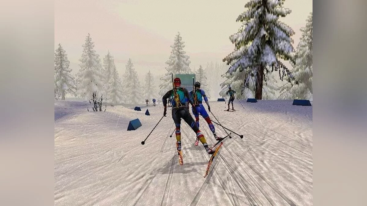 Скриншоты из RTL Biathlon 2009 / Картинка 26