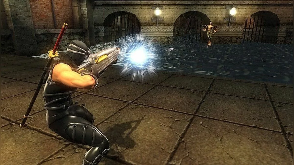 Скриншоты из Ninja Gaiden Sigma Plus / Картинка 11