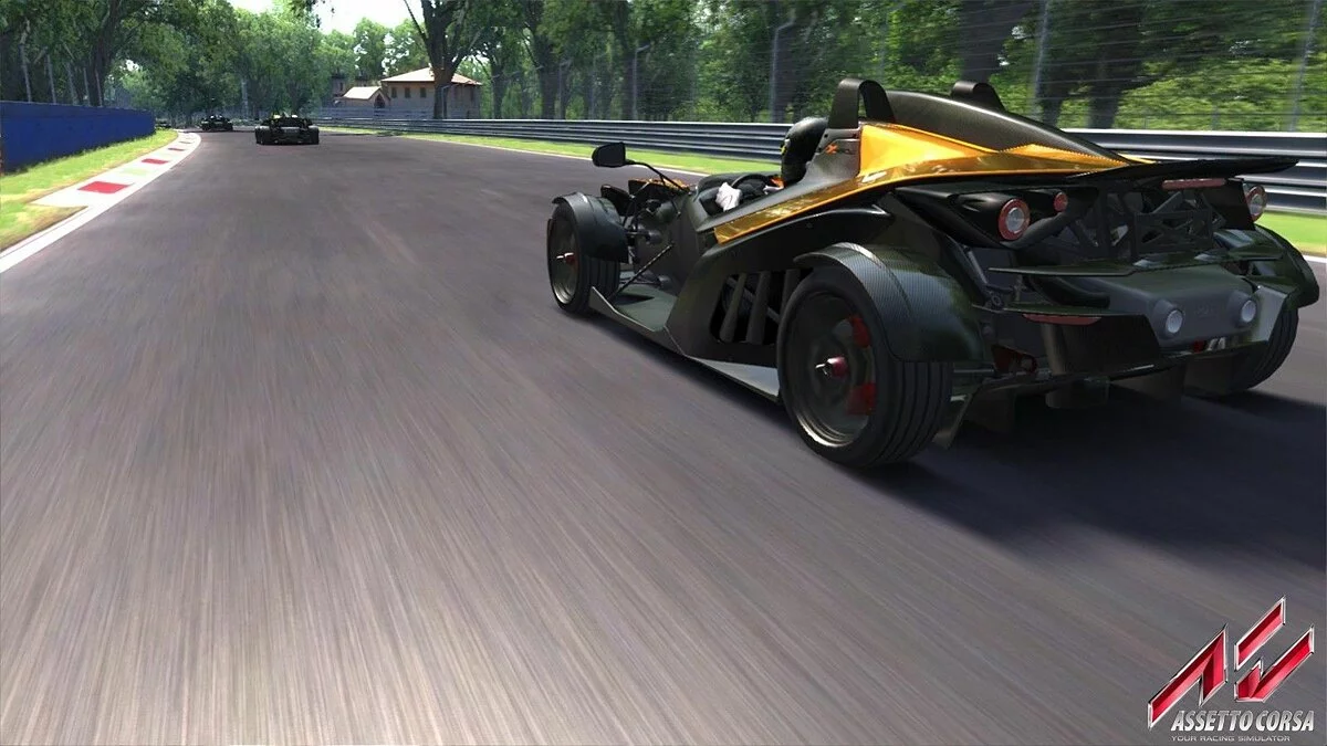 Скриншоты из Assetto Corsa / Картинка 8