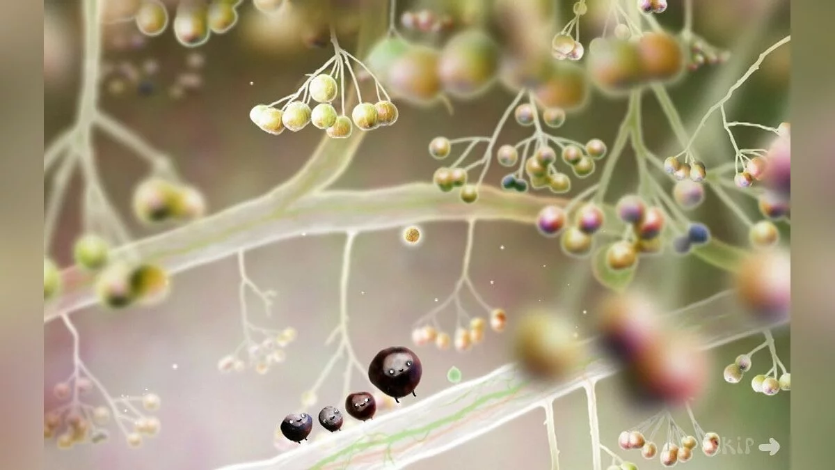 Скриншоты из Botanicula / Картинка 26