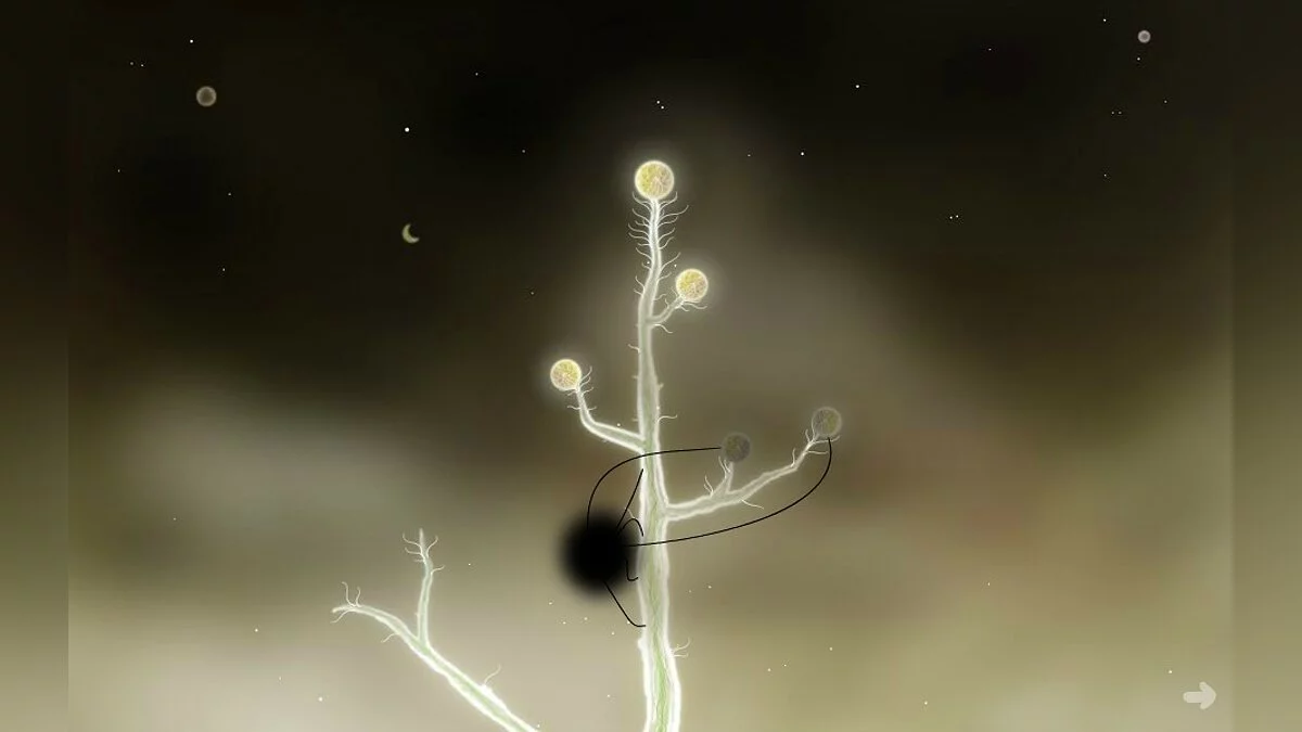 Скриншоты из Botanicula / Картинка 27