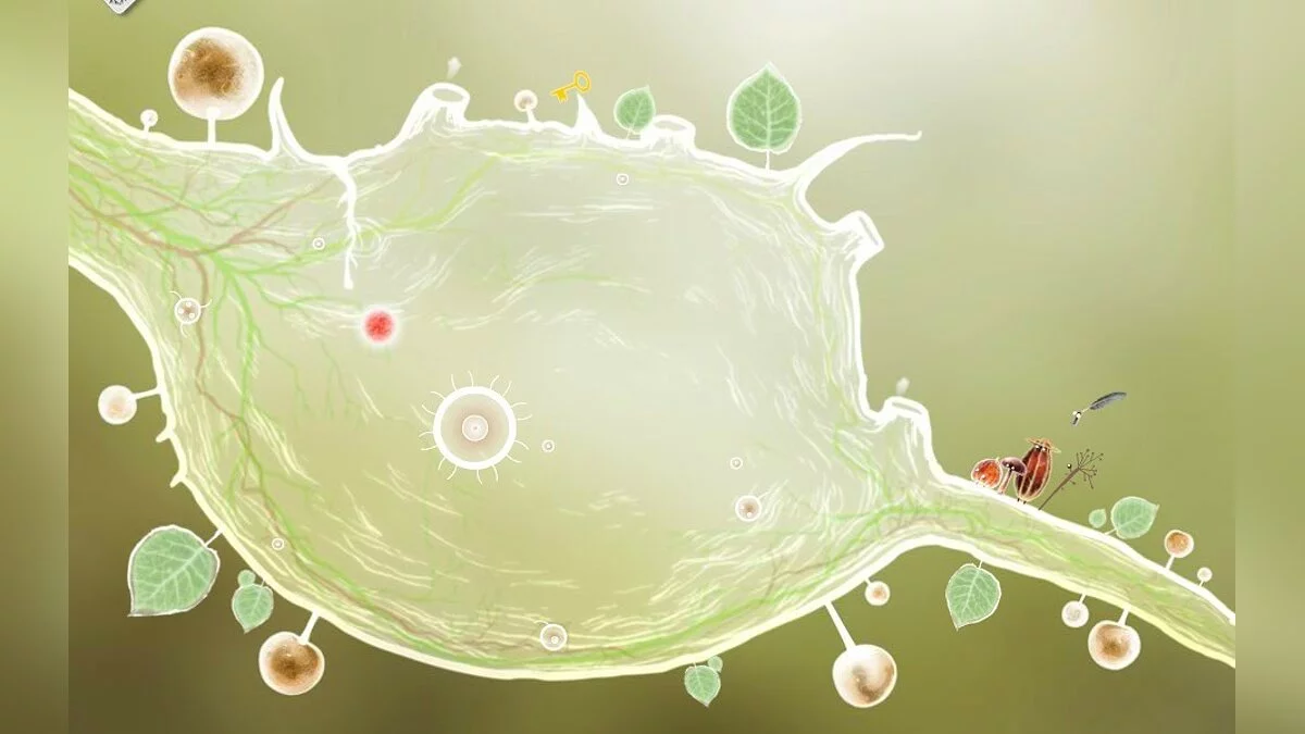 Скриншоты из Botanicula / Картинка 33