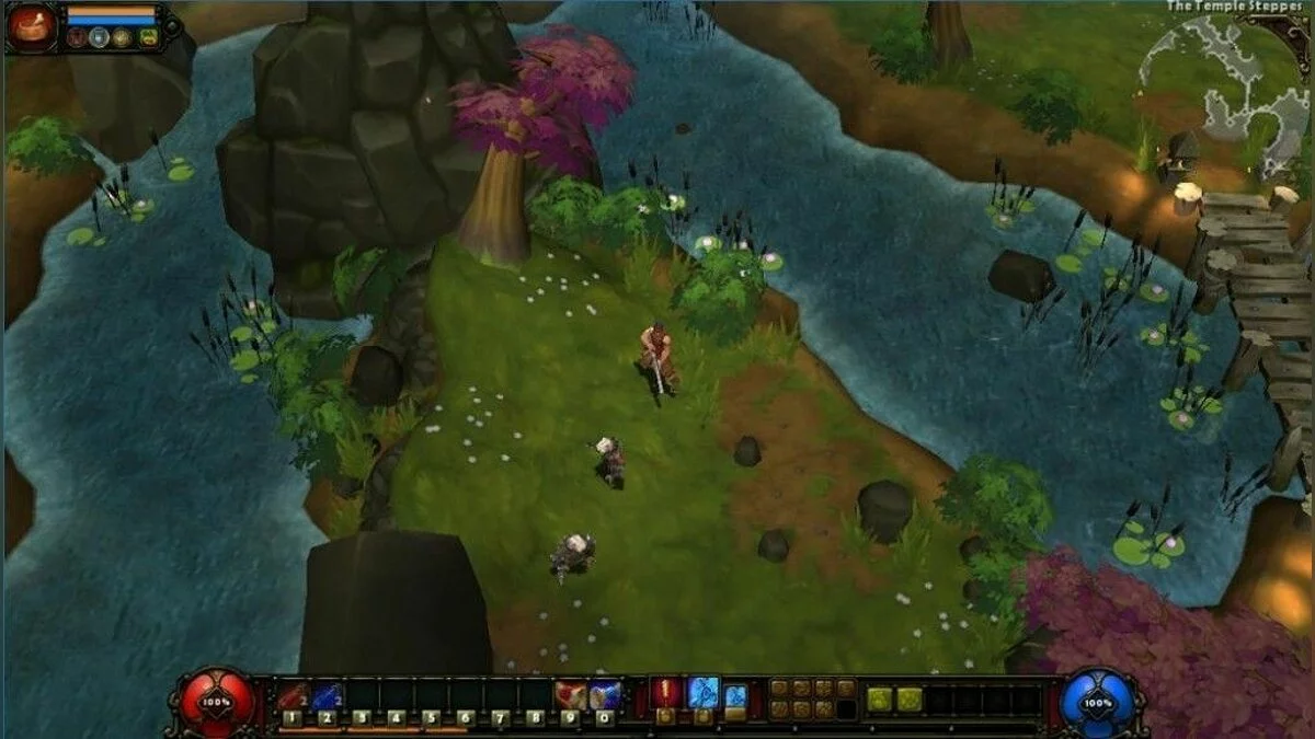 Скриншоты из Torchlight 2 / Картинка 5