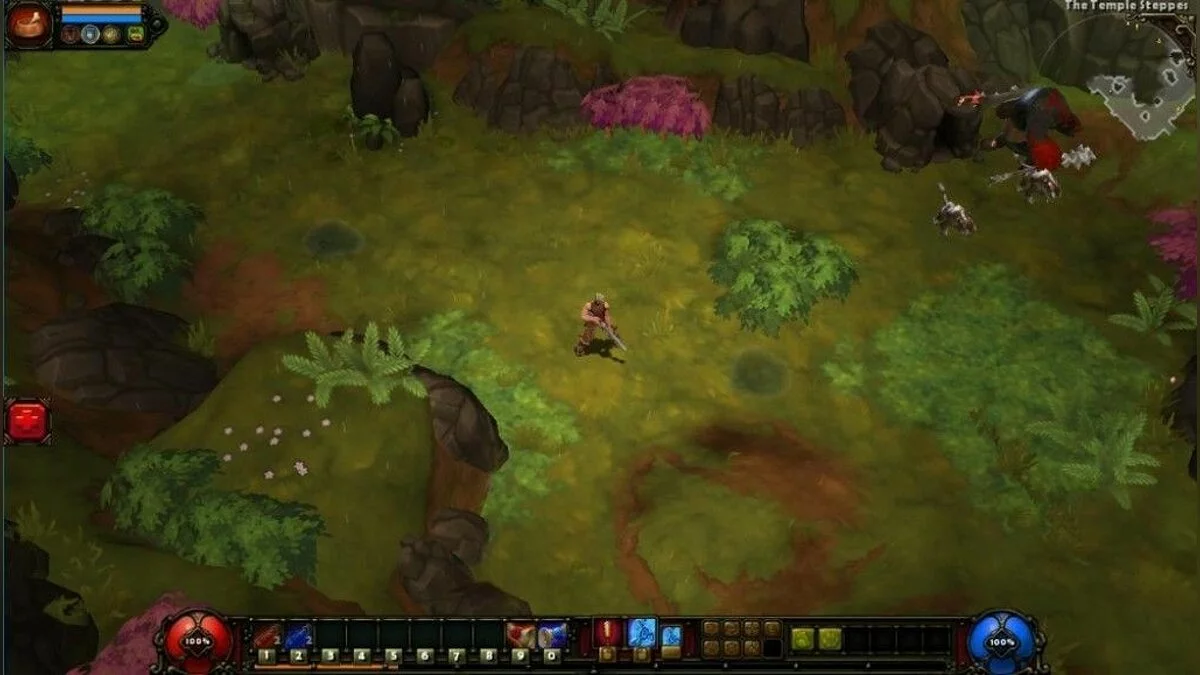 Скриншоты из Torchlight 2 / Картинка 7