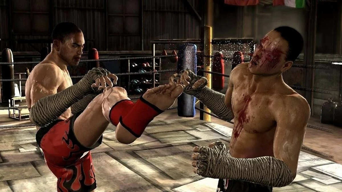 Скриншоты из Supremacy MMA / Картинка 9