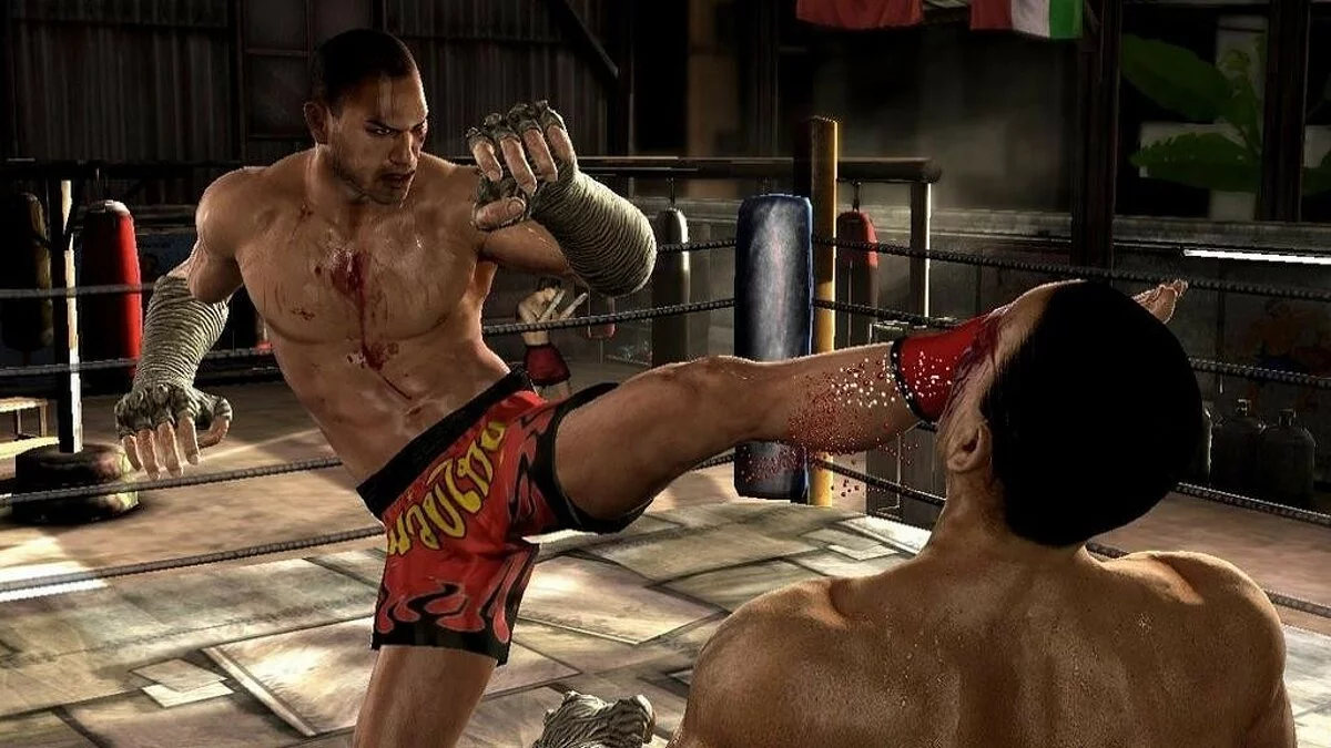 Скриншоты из Supremacy MMA / Картинка 10