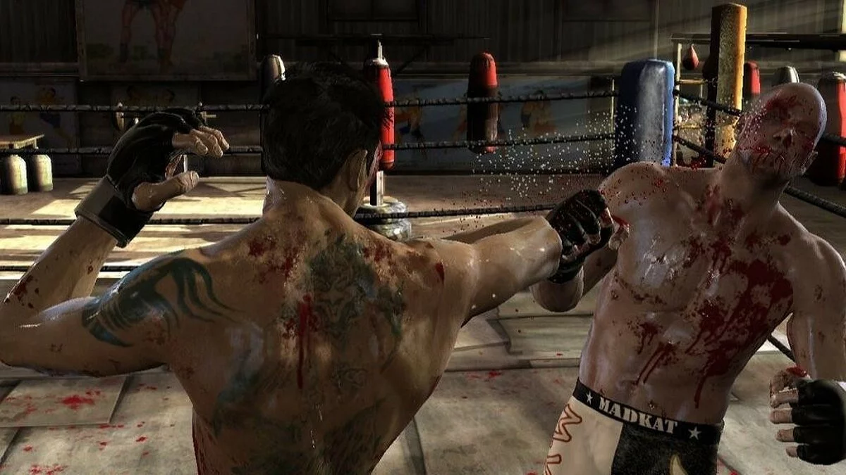 Скриншоты из Supremacy MMA / Картинка 74