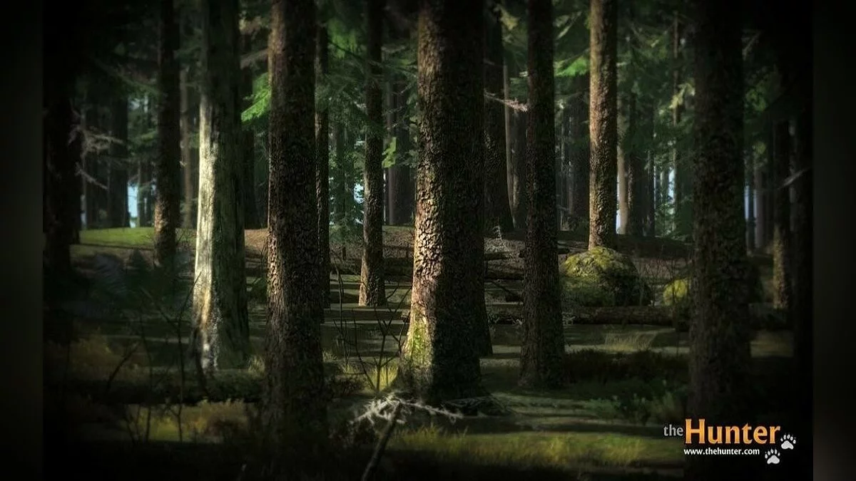 Скриншоты из theHunter / Картинка 18