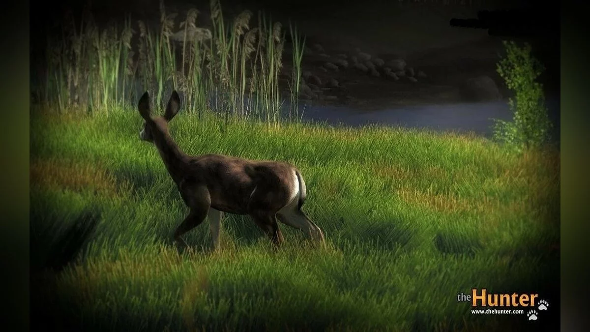 Скриншоты из theHunter / Картинка 19