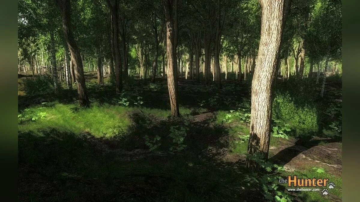 Скриншоты из theHunter / Картинка 22