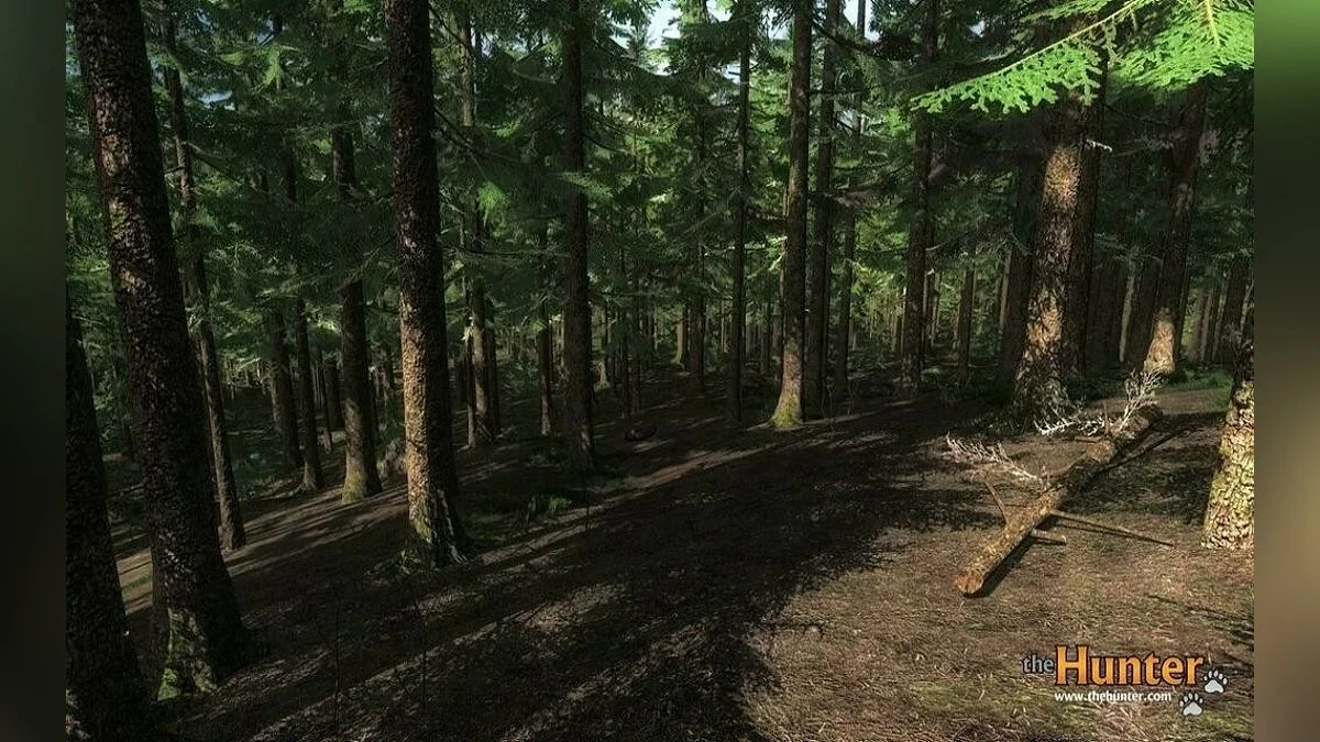 Скриншоты из theHunter / Картинка 25
