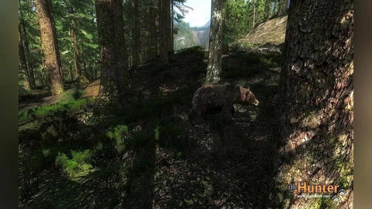 Скриншоты из theHunter / Картинка 26