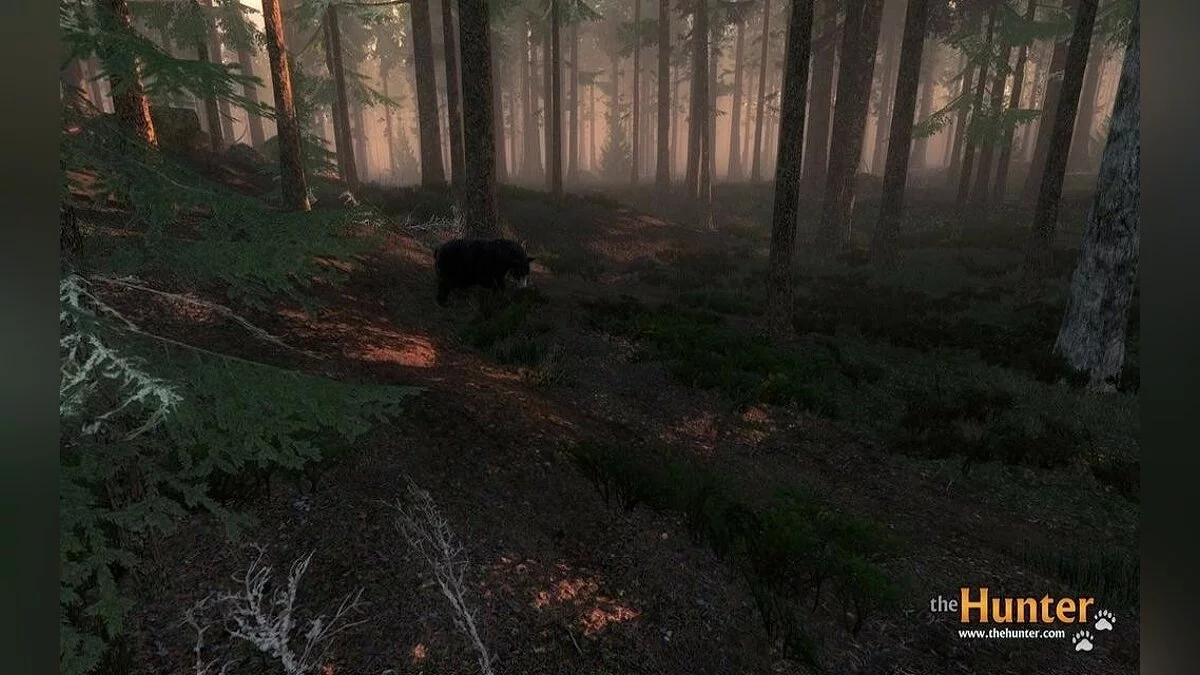 Скриншоты из theHunter / Картинка 28