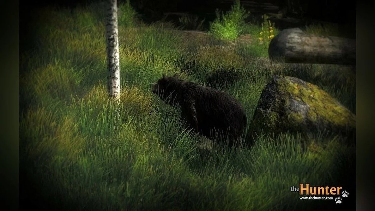 Скриншоты из theHunter / Картинка 29