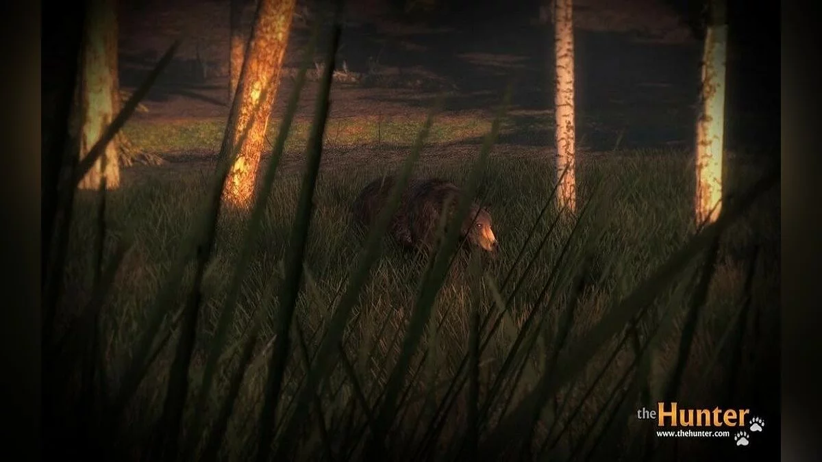 Скриншоты из theHunter / Картинка 30
