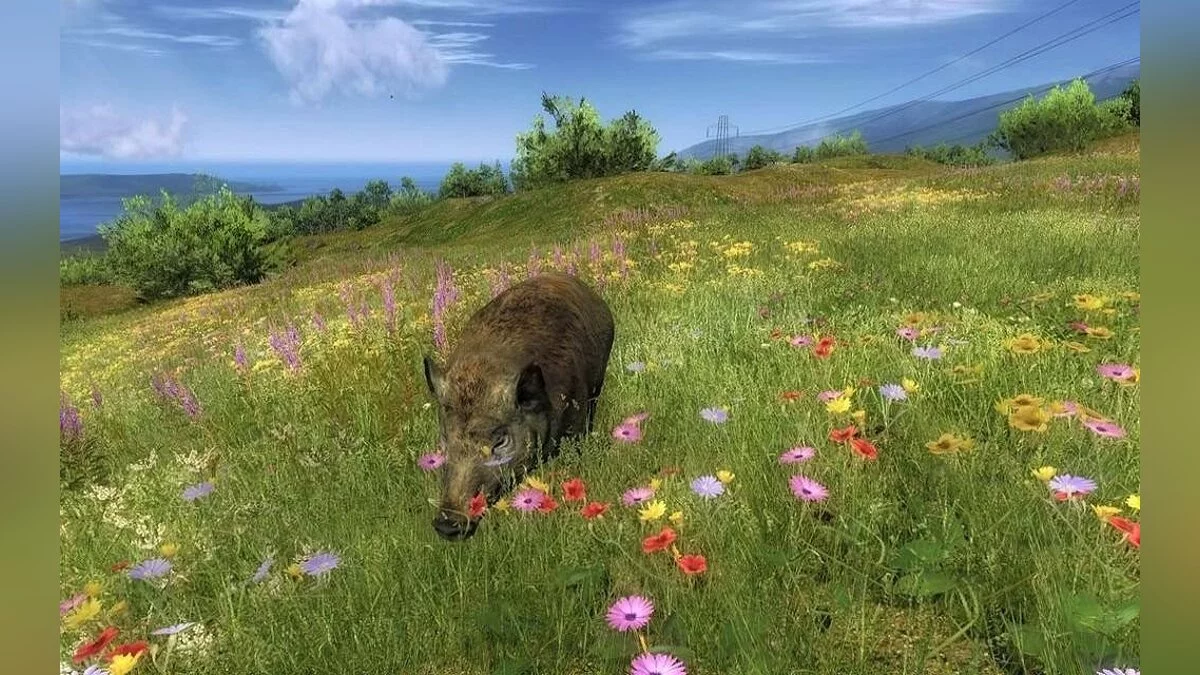 Скриншоты из theHunter / Картинка 32