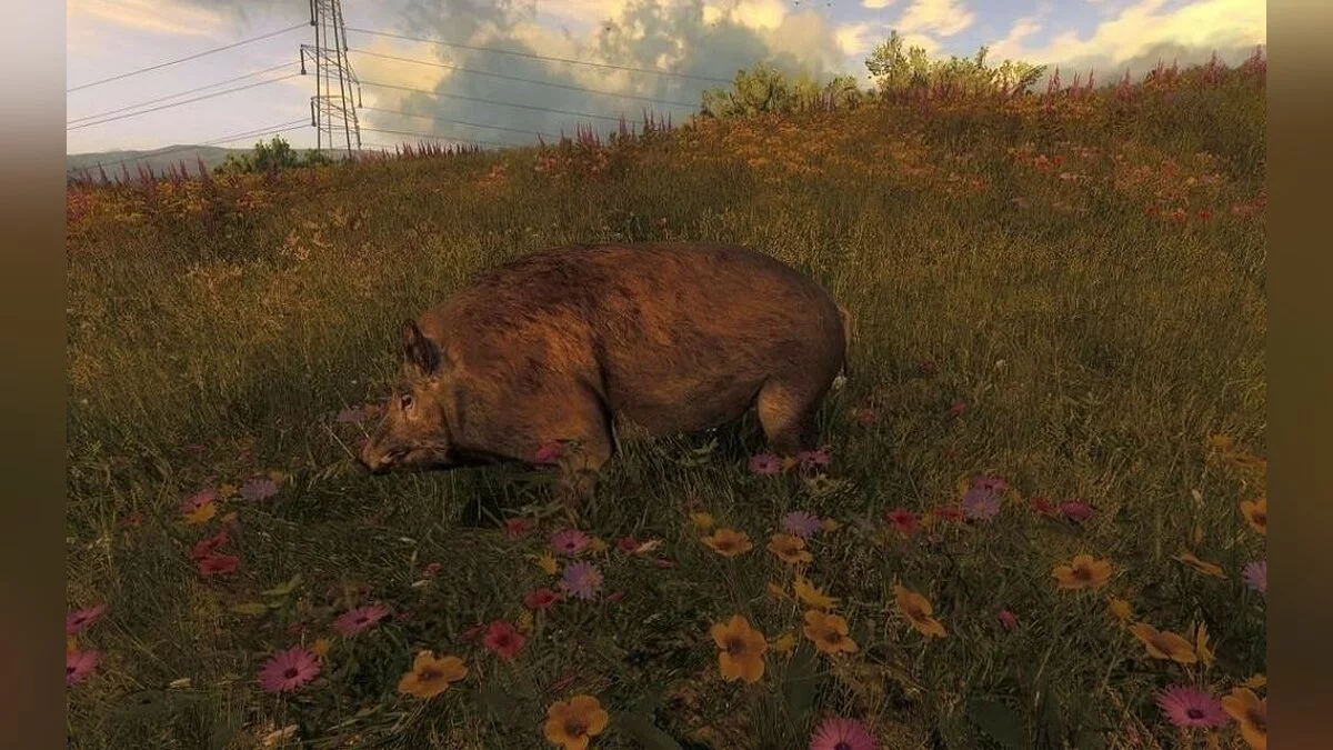 Скриншоты из theHunter / Картинка 33
