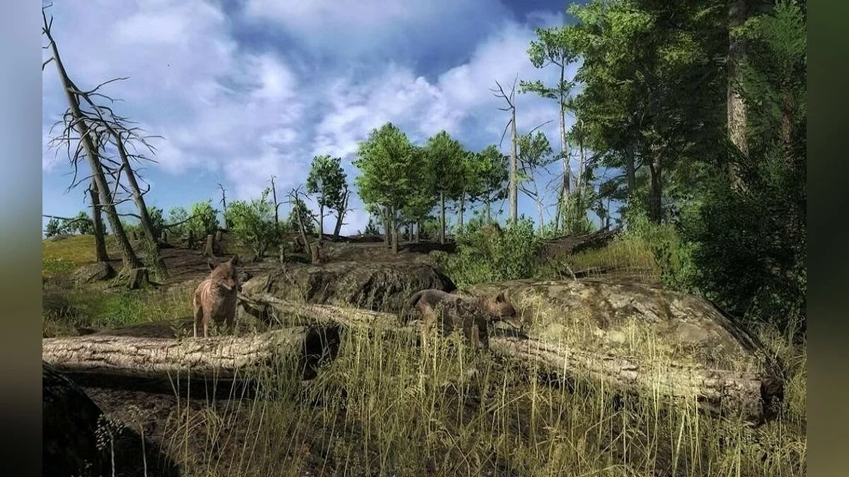 Скриншоты из theHunter / Картинка 34