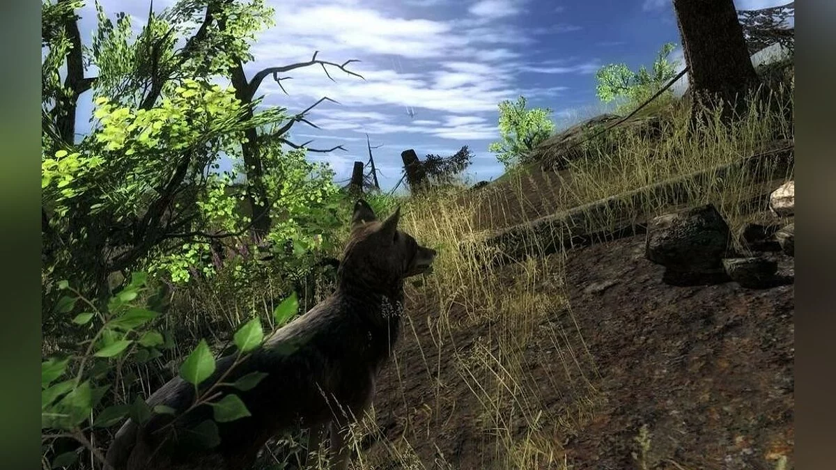 Скриншоты из theHunter / Картинка 35