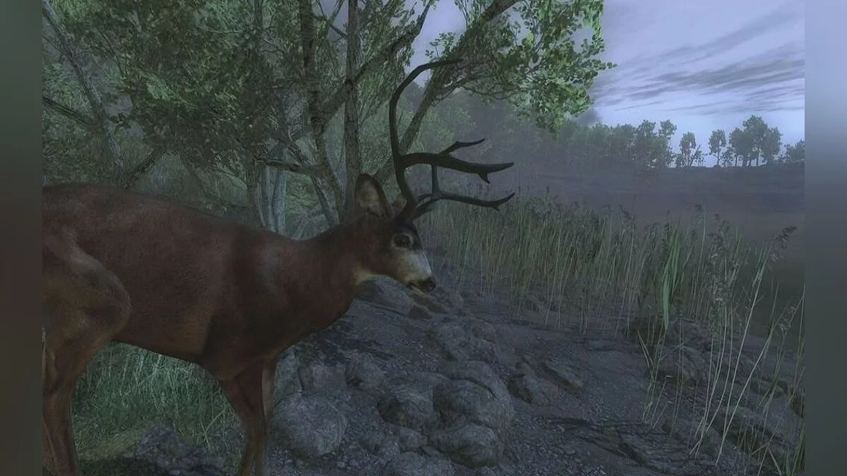 Скриншоты из theHunter / Картинка 36