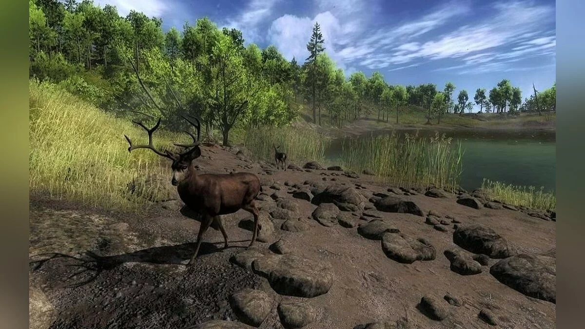 Скриншоты из theHunter / Картинка 37