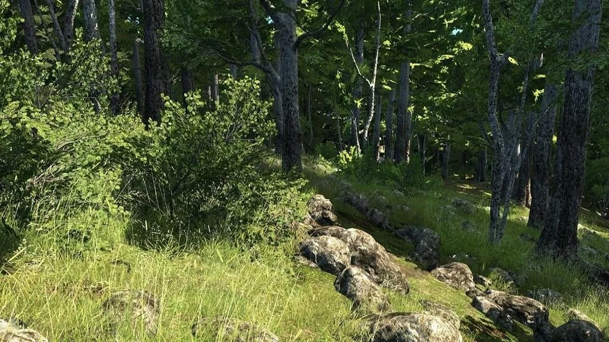 Скриншоты из theHunter / Картинка 38
