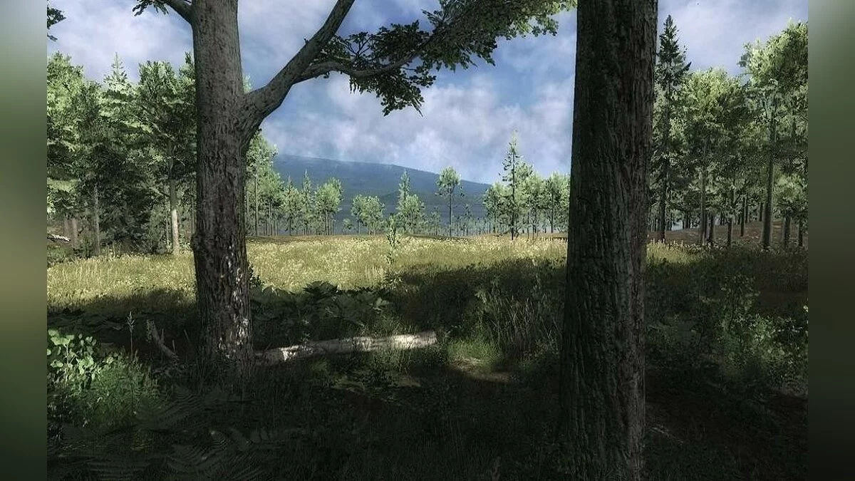 Скриншоты из theHunter / Картинка 39
