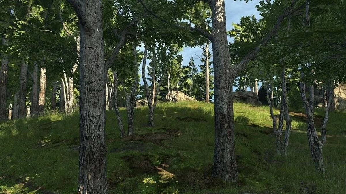 Скриншоты из theHunter / Картинка 40