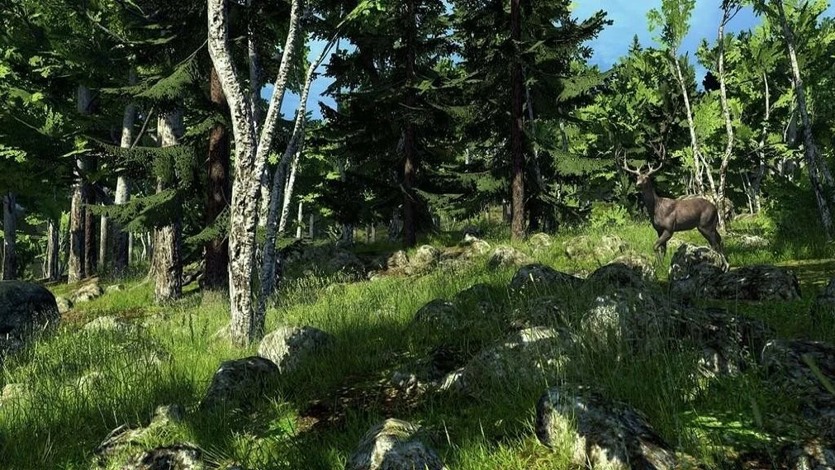 Скриншоты из theHunter / Картинка 42