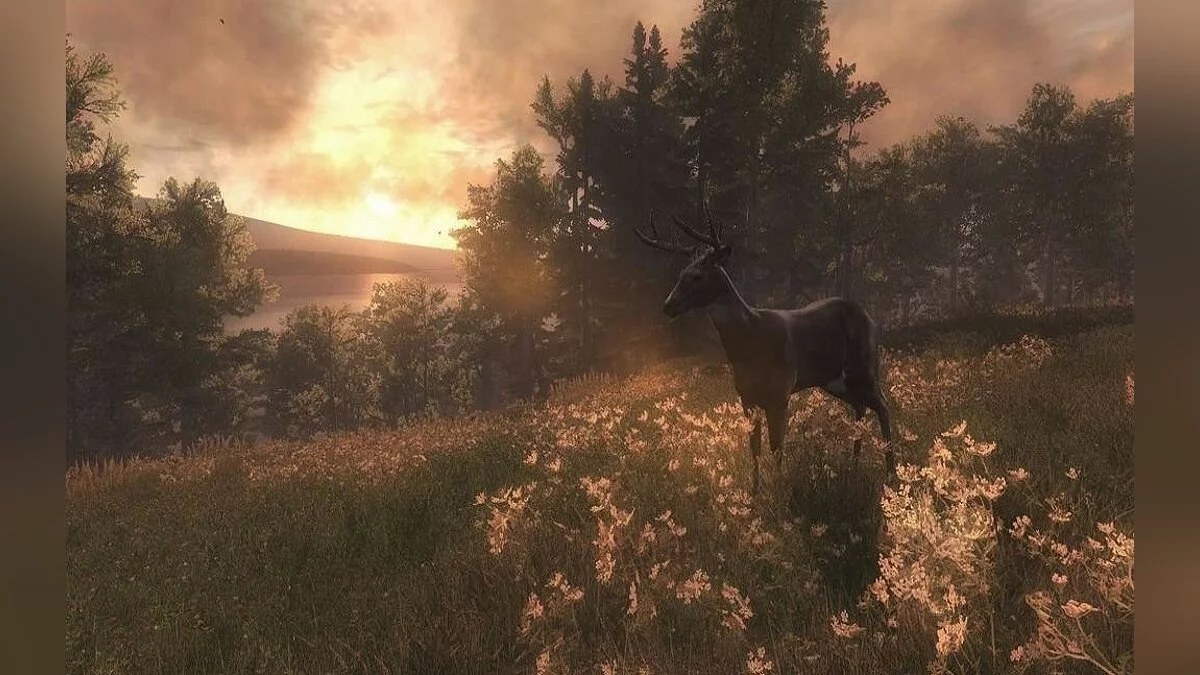 Скриншоты из theHunter / Картинка 44
