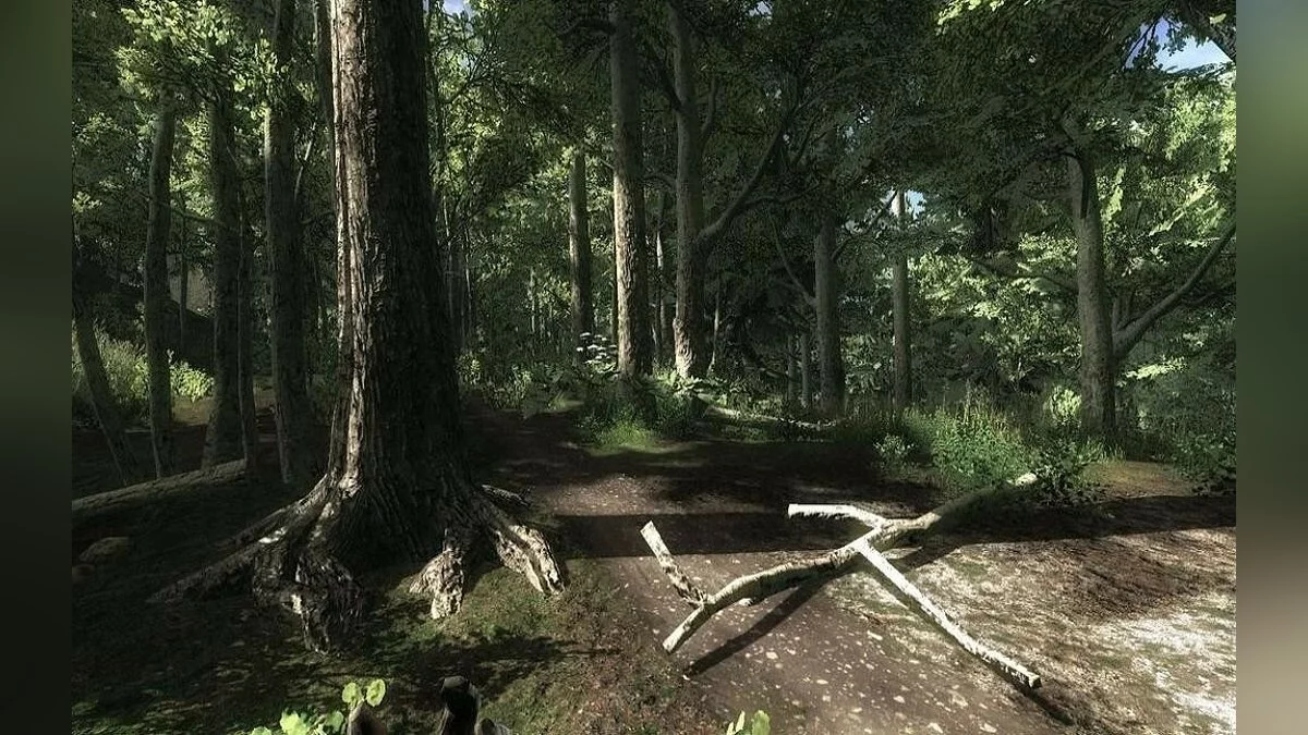 Скриншоты из theHunter / Картинка 45