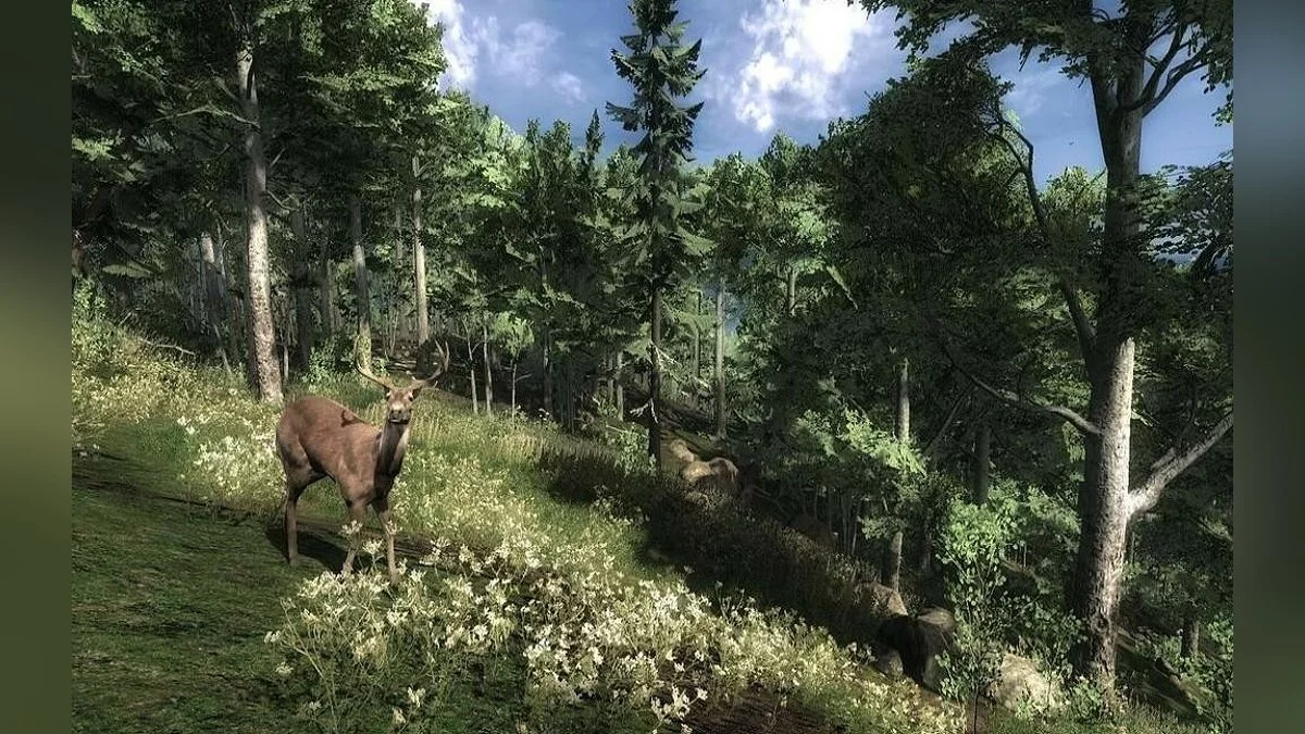 Скриншоты из theHunter / Картинка 47