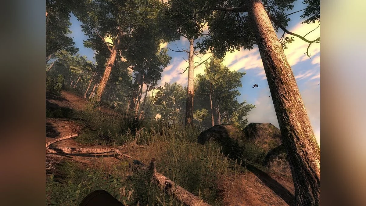 Скриншоты из theHunter / Картинка 53