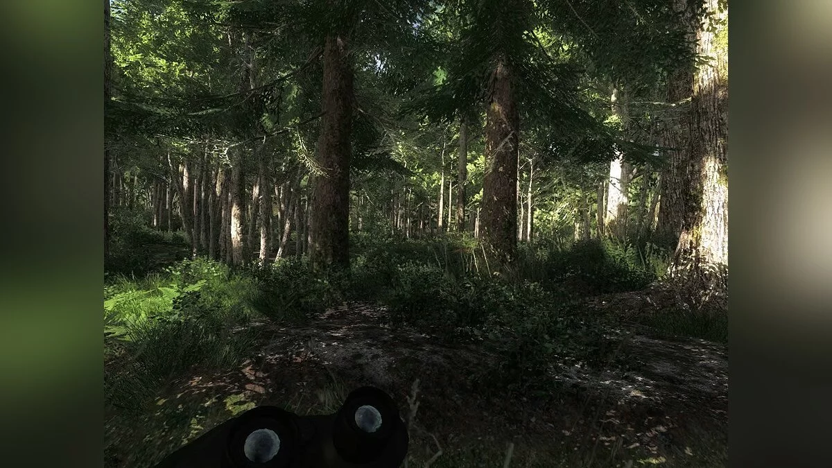 Скриншоты из theHunter / Картинка 59