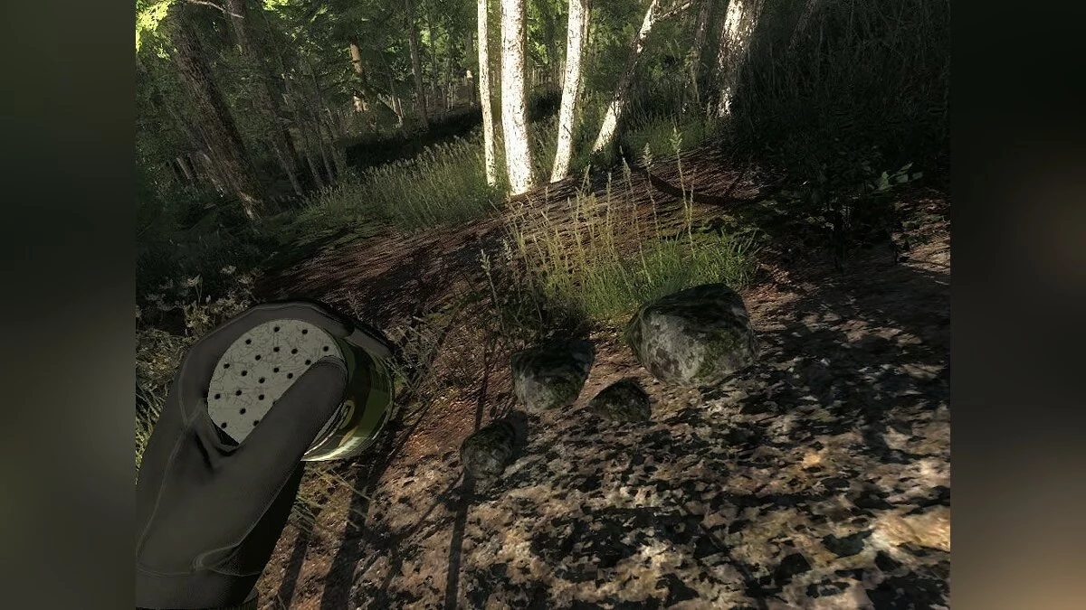 Скриншоты из theHunter / Картинка 58