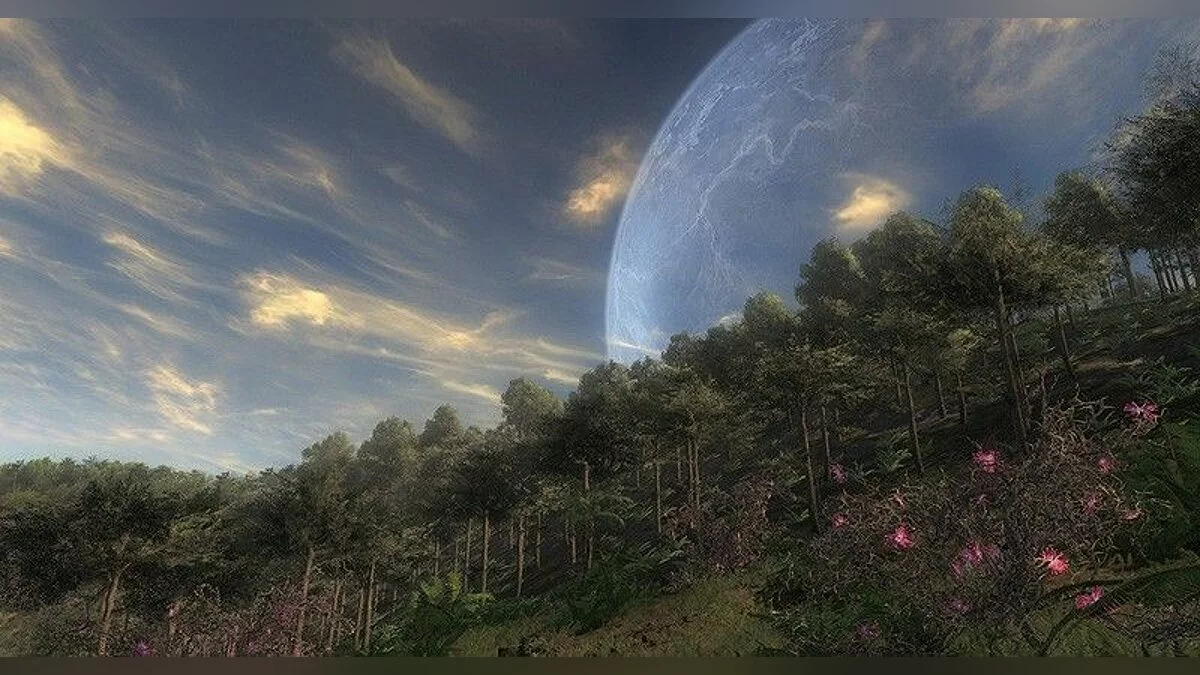 Скриншоты из theHunter / Картинка 15