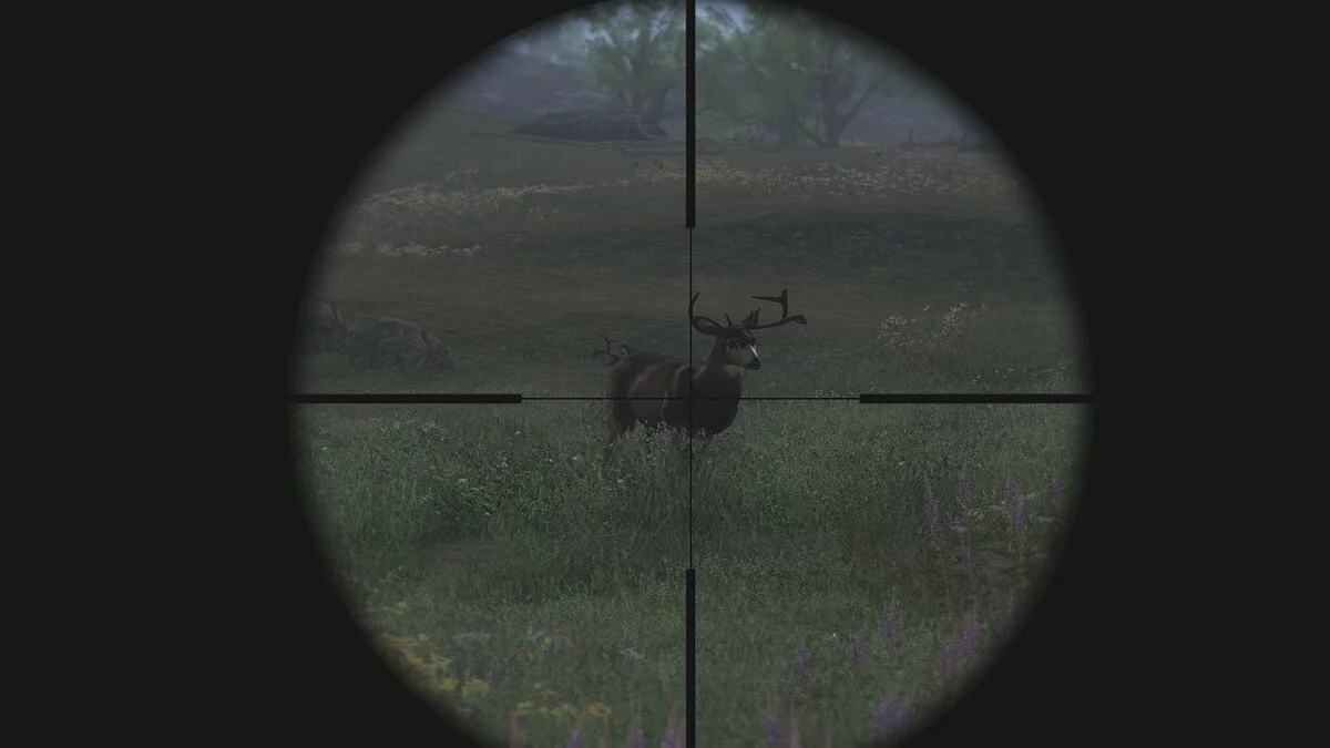 Скриншоты из theHunter / Картинка 5