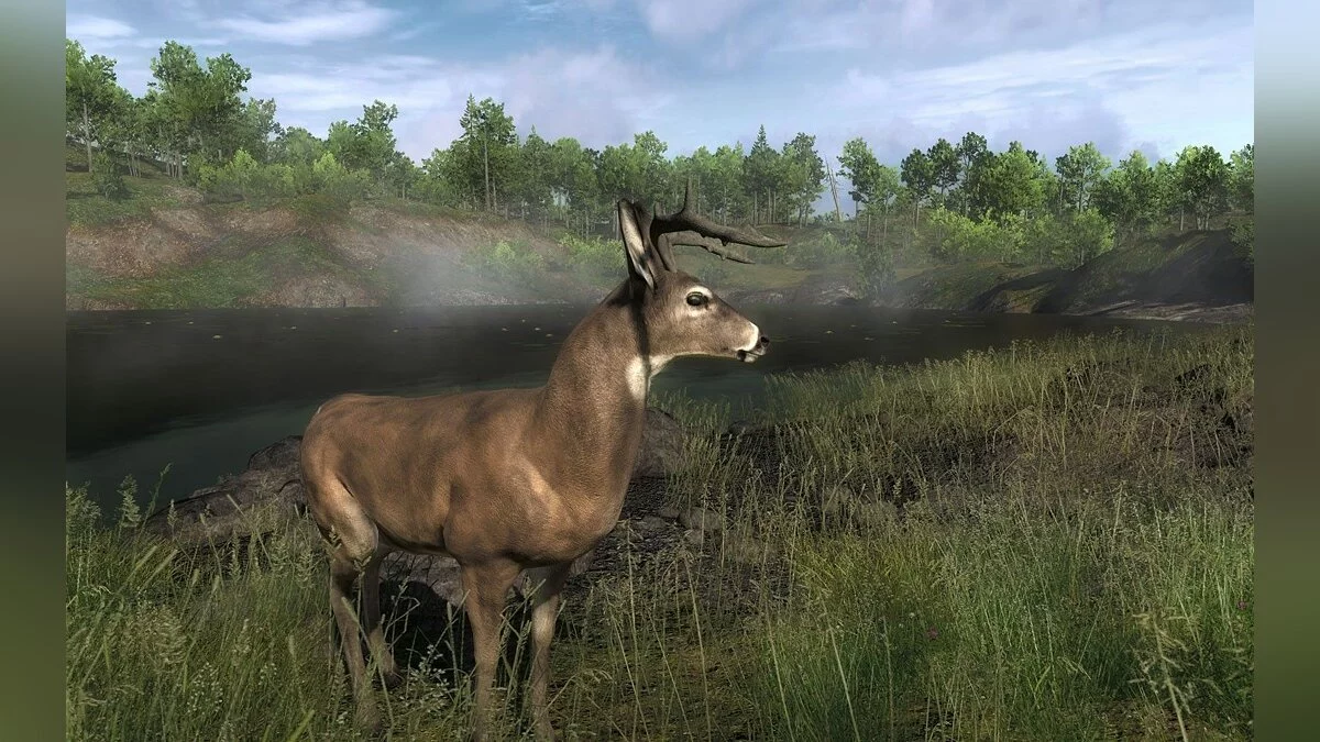 Скриншоты из theHunter / Картинка 9