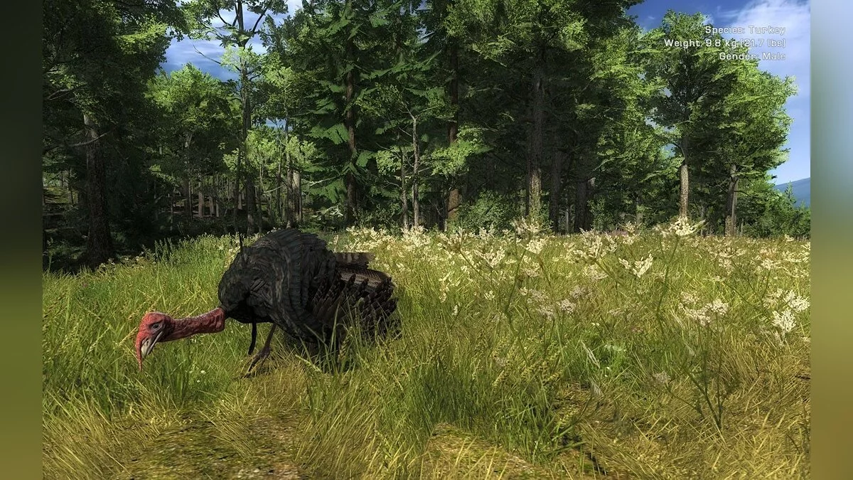 Скриншоты из theHunter / Картинка 10