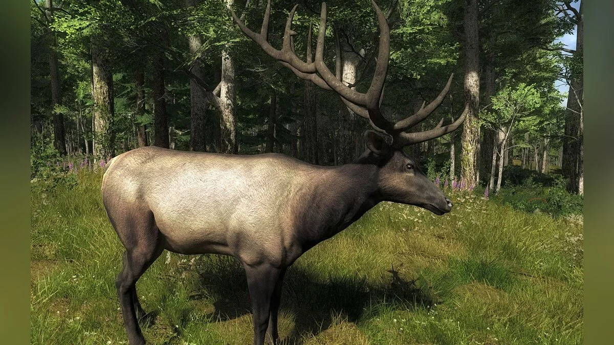 Скриншоты из theHunter / Картинка 11